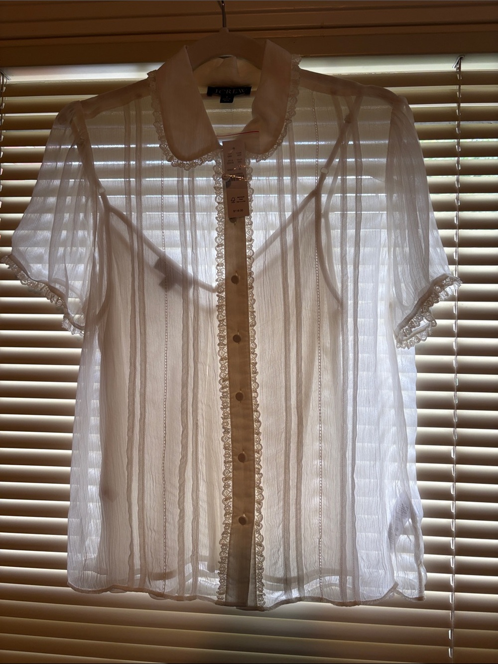 J. Crew Sheer White Lace-Trim Button Front Blouse